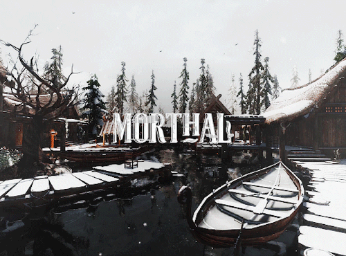 SKYRIM SCENERYWinter In The Nine Holds
