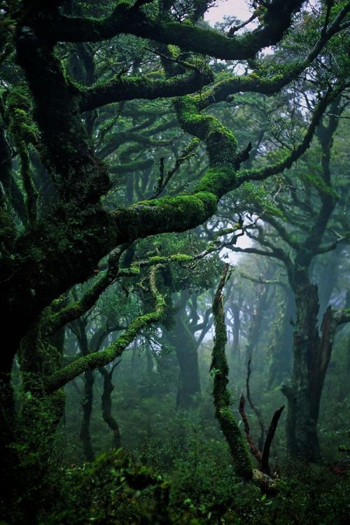 missfairyblossom: Waikaremoana by Bryan Larson on Fivehundredpx