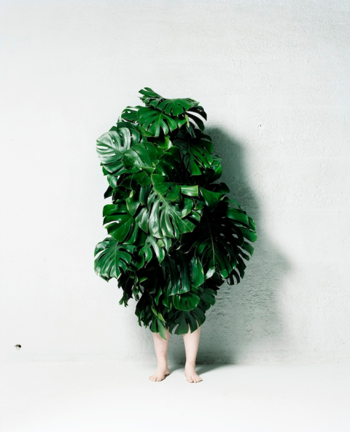 pikeys:  Leaf Man, 2011 by Azuma Makoto 