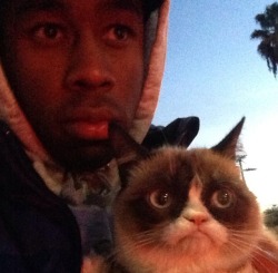 tyler the creator and the grumpy cat? ~mind