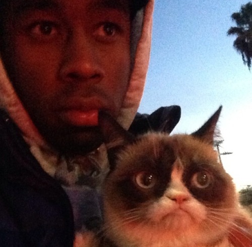 tyler the creator and the grumpy cat? ~mind is blown~