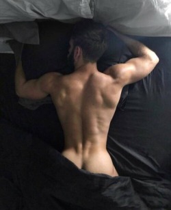 Gaydreamlove