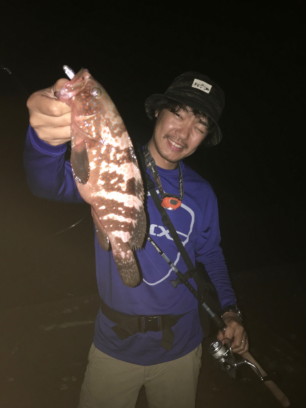 Royal Milktea Spicy Fishing 佐渡島の釣りと旅 Vol 1 キジハタ編 Royal Milktea Spicy Fishing 佐渡島の釣りと旅 Vol 1 キジハタ編