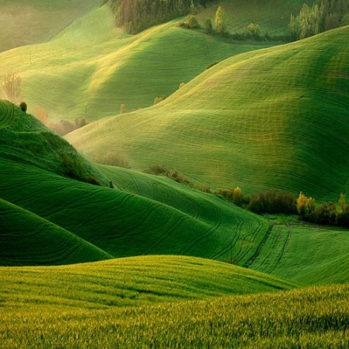 secretdreamlife:  Irish hills are gorgeous!
