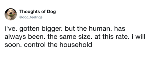 some-sort-of-ecologist:  thriveworks: Dog Thoughts (see 10 more)  