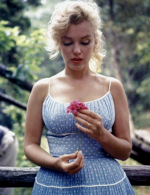 infinitemarilynmonroe:Marilyn Monroe photographed by Sam Shaw, 1957.