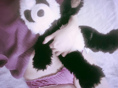 teenytinytangerine:  I wear these panties way too much ft. Stuffie 🐼 