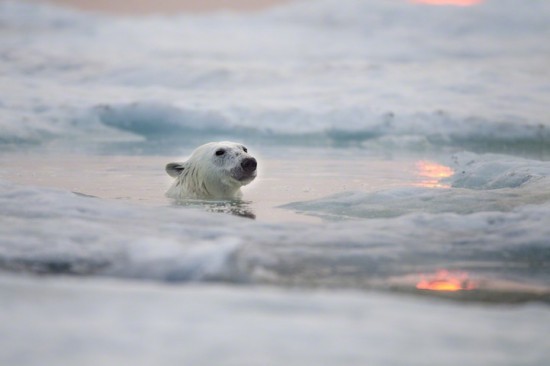 ruineshumaines:  Paul Souders 