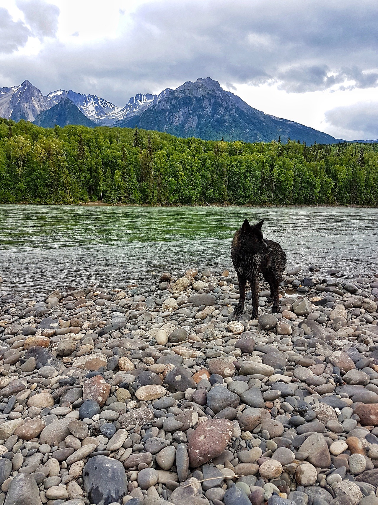 primitive-nature: I love my yard