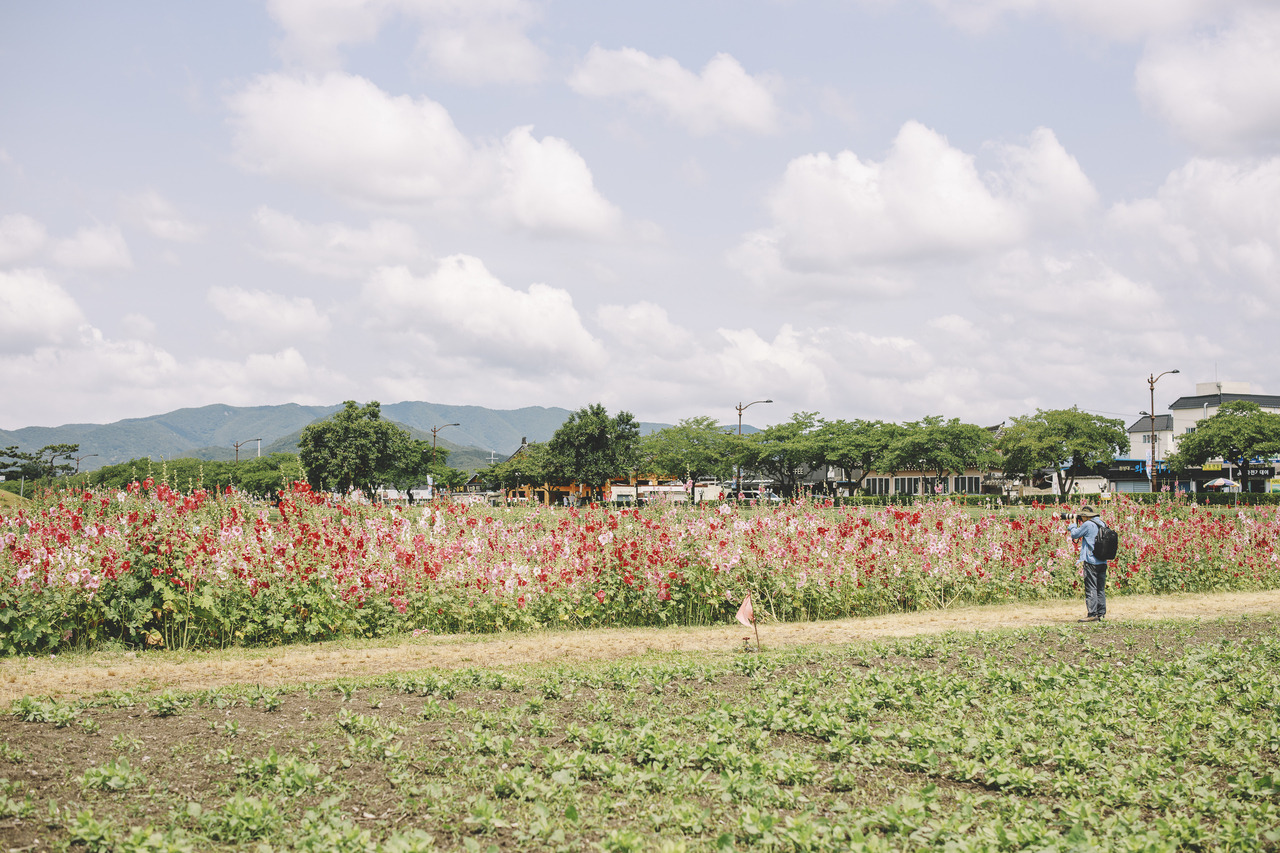 boohwanj:2019-06-15