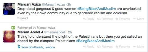 wocinsolidarity: Just a few of the gems dropped today on Twitter with the #BeingBlackAnd Muslim hash