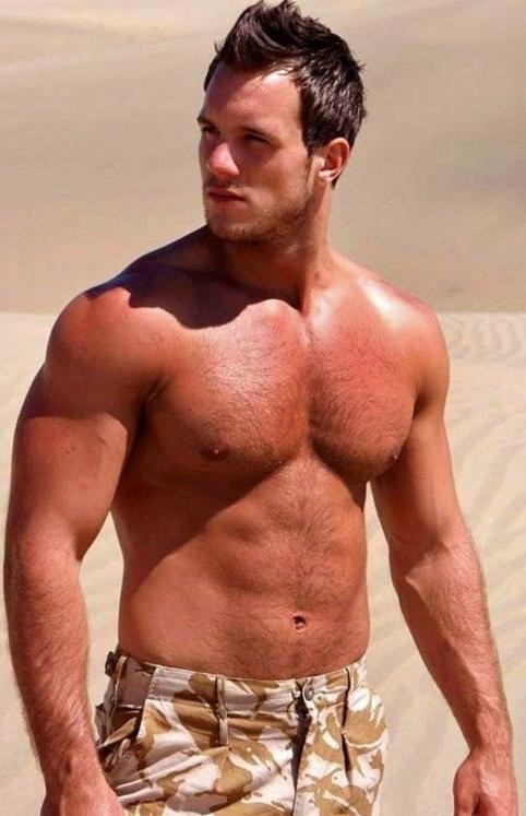 insatiable-pig:  🐷 