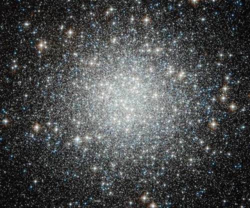 Blue Straggler Stars in Globular Cluster M53 Image Credit: ESA/Hubble, NASA