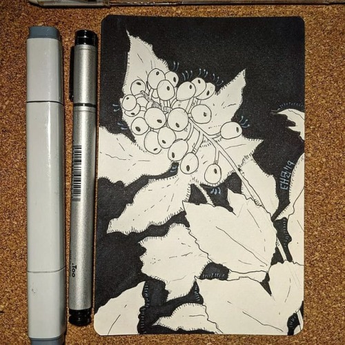 Inktober 2 - Doll&rsquo;s eyes. They are such an interesting looking flower!  #flower #plants #i