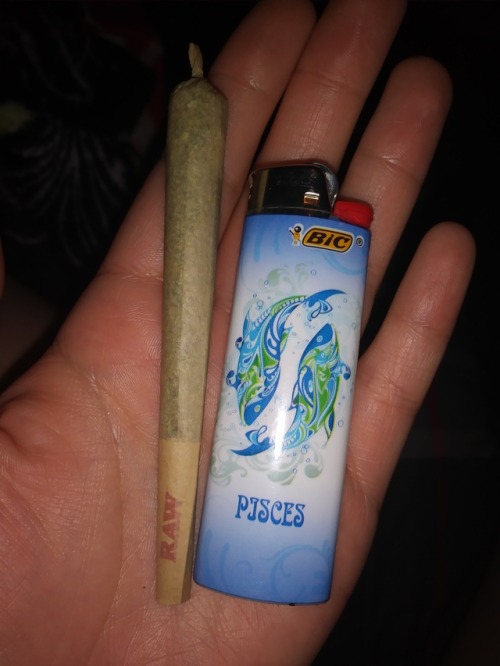 peacefulpothead: Kief joint ✨