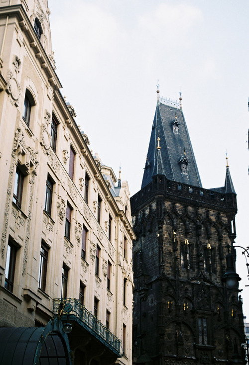 Prague - March, 2018Afga Vista 400 x Olympus OM-1prints | instagram