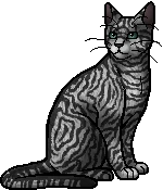 Creekfeather has a factitious disorder[ID: a sprite of Creekfeather (gray tabby with dark gray-green eyes) sitting. /ID end] #with id#creekfeather#warriors#warrior cats#wc #factitious disorder headcanon