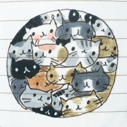 saskiakeultjes:  Here is a bubble of kitties