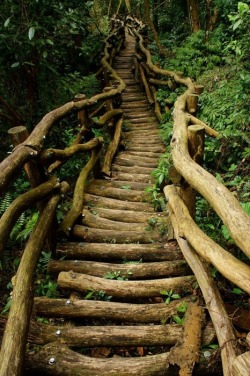 bluepueblo:  Log Bridge, Taiwan photo via elray 