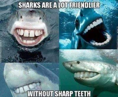 thatweirdsharkguy-deactivated20:OMG