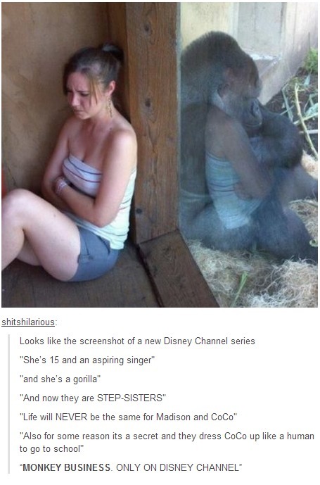 Not Your Average Tumblr