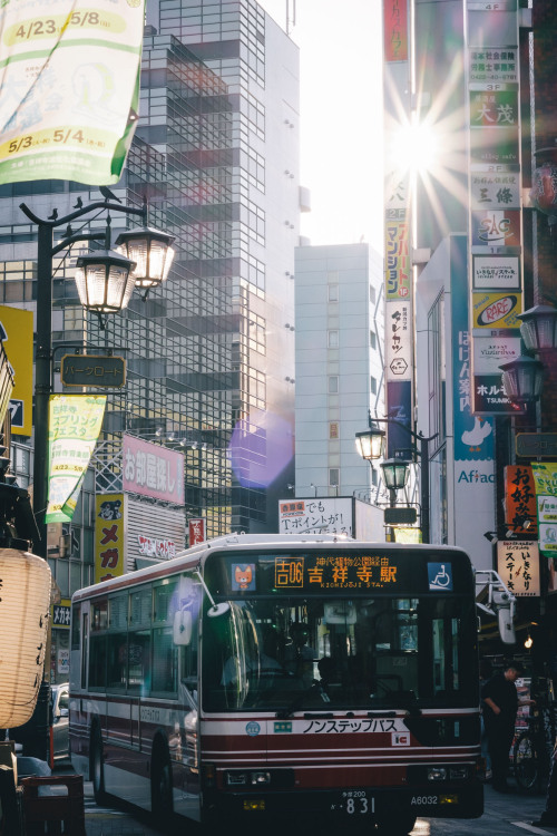 takashiyasui: Follow my Instagram ( instagram.com/_tuck4 )