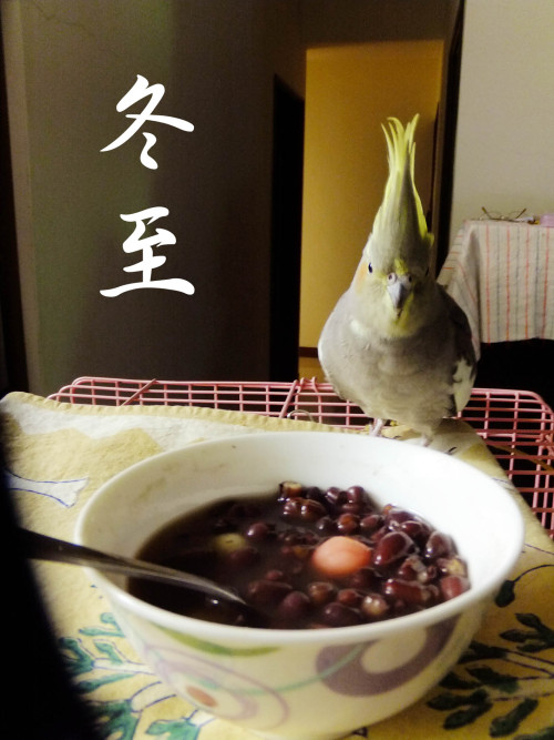 玄鳳