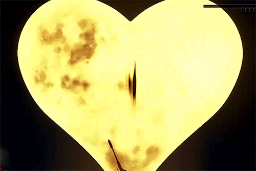 a-q-u-a-s:  Return to the light!