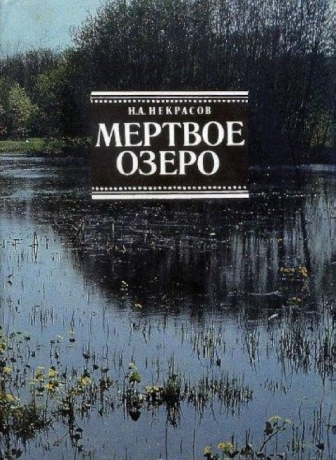 Книга про озеро. Некрасов н Мертвое озеро. Мертвое озеро Некрасов книга. Мертвое озеро Станицкий Некрасов. Некрасов мёртвое озеро 1957.