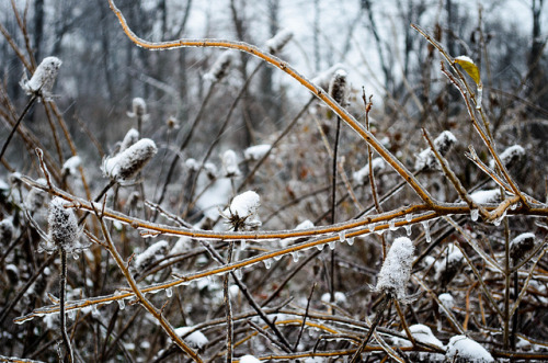 Rain, Snow, & Sleet 7 by Matthew Salas on Flickr.