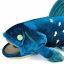 coelacanthplushie