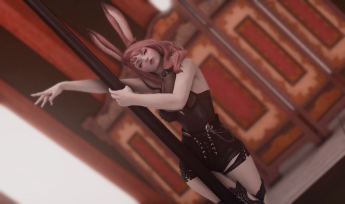 laelaxiv