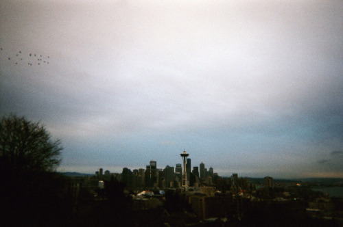 kerry park // disposable camera