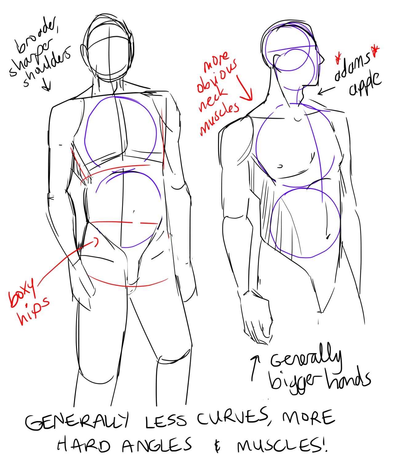 anatomy sketches  Male art reference Drawing reference poses Anime poses  reference