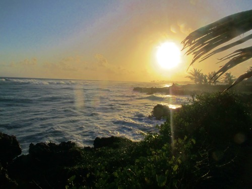 jurassicparkss:Trinidad and Tobago + Water