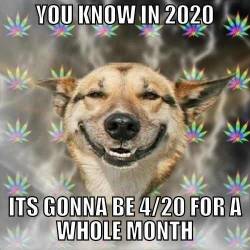 we-all-love-weed:  Cant wait! like this? then follow - We all love weed
