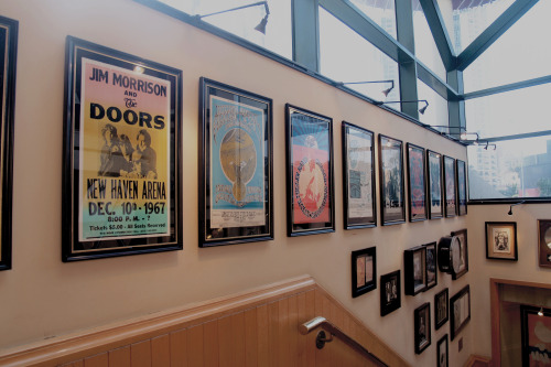 7 September 2015 Hard Rock Cafe In Surfers Paradise
