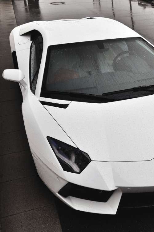 vistale:  Lamborghini Aventador | via