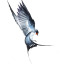 ssswallow