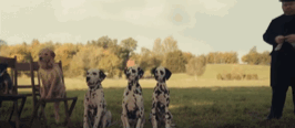 She Didnt Even Do Shit To The Dalmations, How Did This Slip Up Like That. Theyre Alive, We See Them During