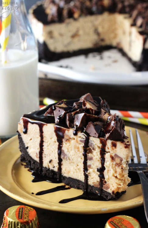 XXX foodsforus:    No Bake Reese’s Peanut Butter photo