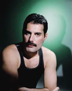 memories-of-a-rockeira:  Freddie Mercury