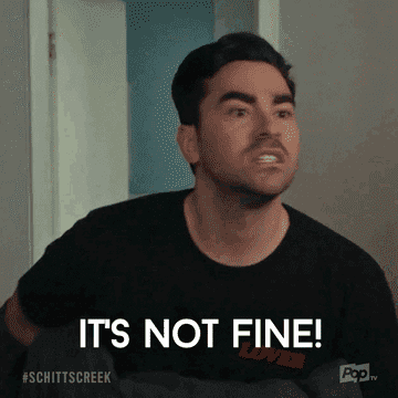 David Rose Moments That Are Perfect Memes For S5 Of LITG
