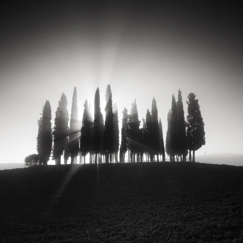 The First Light Pierre Pellegrini