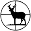 deerhunting-georgia