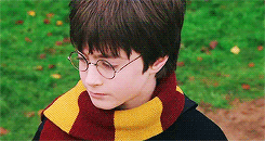 rmlupins-deactivated20140813:  &lsquo;yer a wizard, harry 
