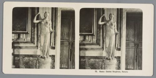 bebemoon:sculpture of vénus in the villa borghese in rome, neue photographische gesellschaft, c. 19o