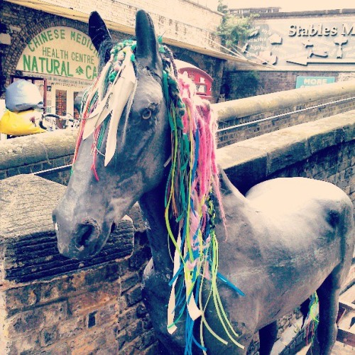 Porn Gotta love #camden #horse #hair photos