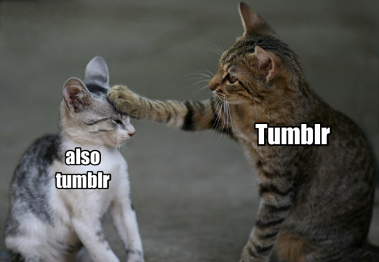 Tumblr media