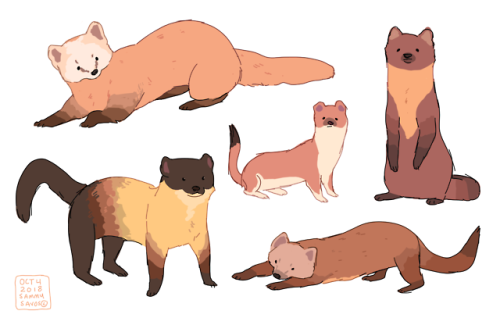 hamotzi:weasels! 